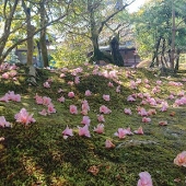 天鏡湖