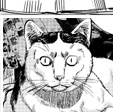 猫ビト
