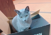 未来