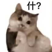 困哒哒———