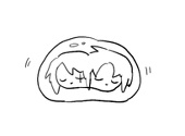 さちこまる