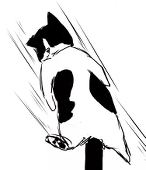 莳日
