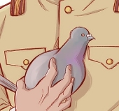 こつづみ
