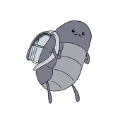 樒