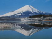 仁川三六五一