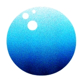 shin