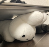 そももも
