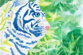 ナオキ