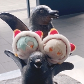 ふゆ