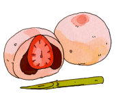 茶のこ