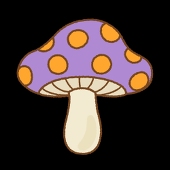 きのこ