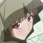 Holosuki