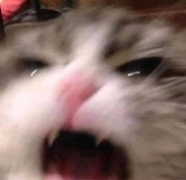 665