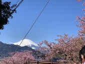 富士見栄春