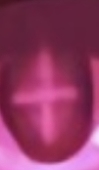 倉石えこに