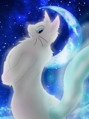 霜尻尾（月猫）