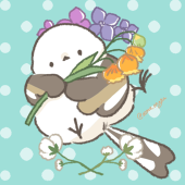 もか