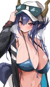 砂猫