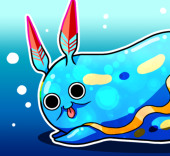 ウミウシ彩