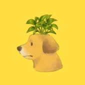 菜っ葉-NAPPA-