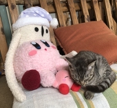さんしょっこ