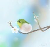 ︎✿