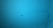 PPプ