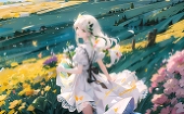 布衣nakili