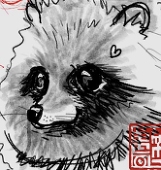 紙空勇気(カミカラユウキ)
