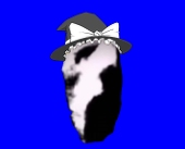 ゆっくりｲﾝｸﾚﾃﾞｨﾌﾞﾙ