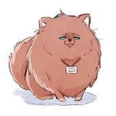 あまかわ
