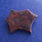 生永