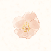 モコ