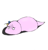 あるびの