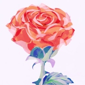 花火