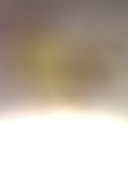 不在