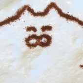 ｼｦｲﾘ