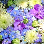 華