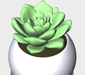 nstudioAc