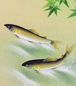 鮎