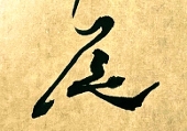 shiitake