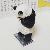 ちあき