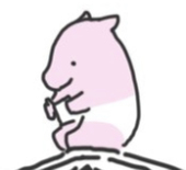ももぞう