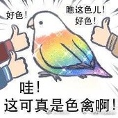 鸽子墟