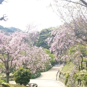 ゆみつ ゆう
