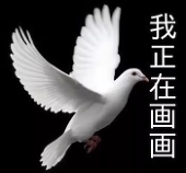 阿鲁aluuuuu