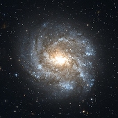 星本翔