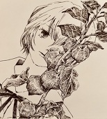 キナコ
