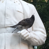 けい