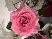 悠